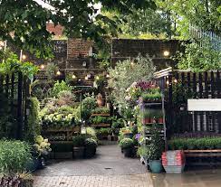 Flower delivery london and uk by flower station. London S Local Garden Centres Delivering Plants To Your Door