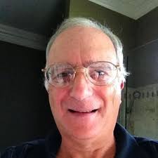 Amazon.com: Vickerman 6-Feet Artificial Ficus Tree in Decorative Brown  Rattan Basket : Home & Kitchen