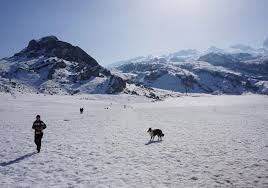 Foopah Leaks - Full OnlyFans Content