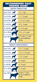 Blue Buffalo Healthy Weight All Natural Dog Food Dog Care Dog Health Natural Dog