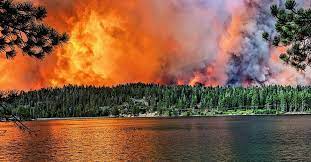 One Year After Devastating Creek Fire Enviros Seek To Block Efforts To Prevent A Repeat