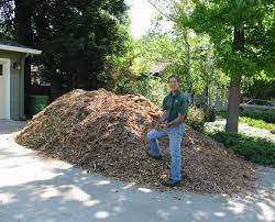 Will woodchips on my garden attract termites? Free Wood Chips Traverso Tree Service