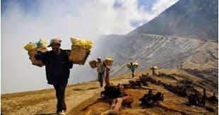 We did not find results for: Pengertian Perilaku Dan Hikmah Kerja Keras Materi Pelajaran