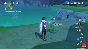The key to breaking the seals on the sword cemetery may lie within their . Mist Flowers Genshin Impact Best Places To Farm The Flower Flipboard