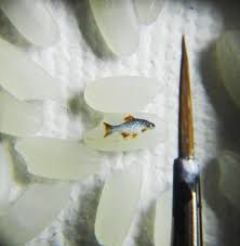 Insanely Small Paintings On Food Miniature Art Small Paintings Miniature Painting
