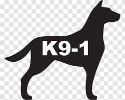 Lab terrier mix black and white. German Shepherd Labrador Retriever T Shirt Police Dog Training Breed Group Black Lab Terrier Mix Pictures