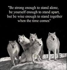 Tiefsinnige sprüche, gedanken, einsamer wolf. Wolf Quotes 3 Wolf Husky