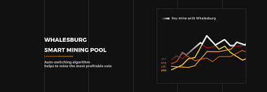 So whenever you join a pool, you tend to lower the volatility of the payouts by providing frequent payments instead of a lump sum only when the block is resolved. Whalesburg Mining Pool Smpps