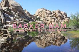 Barker Dam Joshua Tree Barker Dam Nature Trail Explore Joshua Tree Barker Dam The Bubbly Mermaid Nature Trail Dam Joshua Tree National Park