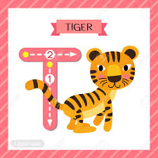 Letter T Uppercase Cute Children Colorful Zoo And Animals Abc Alphabet Tracing Flashcard Of Standing Tiger For Kids Learning English Vocabulary And Handwriting Vector Illustration Royalty Free Cliparts Vectors And Stock Illustration