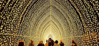 Lightscape Chicago Botanic Garden Chicago Botanic Garden Light Trails Chicago Christmas