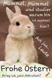 Frohe Ostern Ostern Lustig Frohe Ostern Ostern Bilder