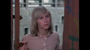 Image result for Eye Rest Green 1977 Hussmann