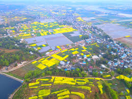 鄉村振興進行時人情事故-先鋒文匯生活寫照