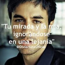 Whitney Enrique Could I Have This Kiss Forever Lyrics Frases De Enrique Iglesias 5 Jpg 320 320 Artist Quotes Enrique Iglesias Popular Music