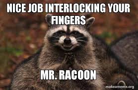 Decorate your laptops, water bottles, notebooks and windows. Nice Job Interlocking Your Fingers Mr Racoon Evil Plotting Raccoon Make A Meme