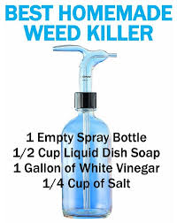 How Do You Use Bleach For A Weed Killer Mccnsulting Web Fc2 Com