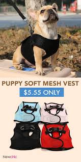 Click To Shop Small Pet Control Harness Safety Strapvest Newchic Pet Travel Dog Harness Pets Dog Cat