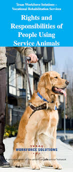 Watch the video explanation about how to make your dog a service dog online, article, story, explanation, suggestion, youtube. Https Twc Texas Gov Files Students Rights Responsibilities Using Service Animals Twc Pdf