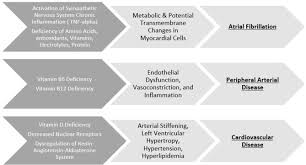 Ethical Dilemmas At The Beginning And End Of Life A Needs Based American Society For Clinical Nutrition Ascn