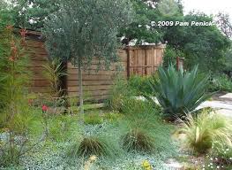 For The Yard Vegetable Garden Design Garden Design Australian Native Garden