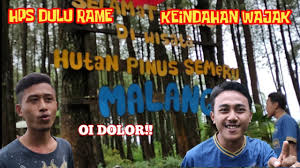 The java sea and the indian ocean border its northern and southern coasts, respectively, while the narrow bali strait to the east separates java from bali. Keindahan Wajak Part 3 Kondisi Hutan Pinus Semeru Hps 2021 Vlog Youtube
