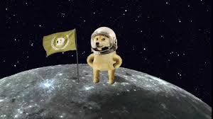 The recent rise in popularity of dogecoin has given way to more companies accepting the cryptocurrency for payment. Pzopyry7aj M