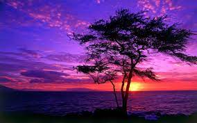 Maybe you would like to learn more about one of these? Blue And Purple Sunset Novocom Top