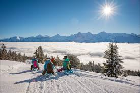 Rodel) ist ein kufenfahrzeug, also ein mit kufen ausgestattetes landfahrzeug, das für den transport von personen und lasten oder als sportgerät verwendet wird. Einwohnergemeinde Beatenberg Beatenberg Tourismus Sonnenterasse Im Berneroberland Schweiz