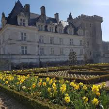 Chateau Jardins De Villandry On Instagram Les Narcisses Du Potager Instagram Exterior Chateau
