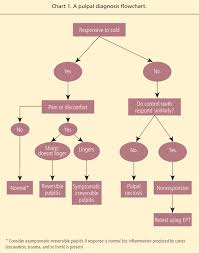 bds insights concept of pulp tests