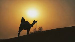 Book your tickets online for bikaner camel safari, bikaner: Rao Bikaji Camel Safari Bikaner Rajasthan Hotel Reviews Photos Rate Comparison Tripadvisor