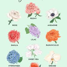 Color (american english) or colour (british english) is the characteristic of human visual perception described through color categories, with names such as. The 10 Most Popular Flowers For Weddings
