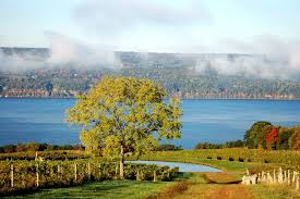 Flathead lake cabin rentals overlooking beautiful flathead lake in lakeside, montana, you'll fall in love with our new cabins with views of flathead lake and the mission and swan mountains. Lake House Rentals Where To Look For The Best Rental Properties Family Vacation Critic