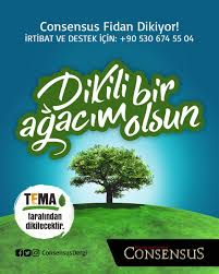Şirketimiz 2017 yılı ajandalarının tamamı geri dönüşümlü kağıttan üretilmiş ve hiç ağaç kesilmemiştir. Consensus Dergisi En Twitter Fidan Bagisi Yapmak Ister Misiniz Consensus Tema Fidan Agac Orman Cevre Doga Yesil Toprak Bagis Ogrenci Universite Yardimsever Sondakika Haber Flash Yeryuzu Dunya Yaprak Insan Tohum Dal Golge