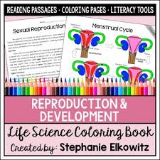 Chromosomes carry genetic information in a molecule called dna. Mitosis And Meiosis Reading Worksheets Teaching Resources Tpt