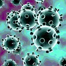 Novel Coronavirus (2019-nCoV) and Food Safety: A Time for Facts, Not Panic