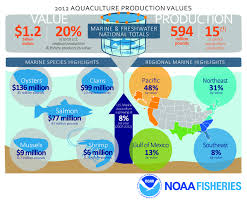 Pin On Aquaculture