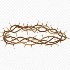 Branch Brown Crown Of Thorn Illustration Clipart Crown Of Thorns Clip Art Illustration