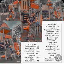 Pin En Lightroom Settings