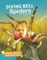 The reason for this adaptation may be the tough competition on land and the presence of terrestrial predators. Diving Bell Spiders Unique Animal Adaptations Amazon De Gaertner Meg Fremdsprachige Bucher