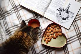 Can Cats Eat Peanut Butter The Truth Behind Nuts Nut Butter More