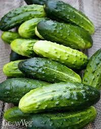 Time To Make Homemade Pickles