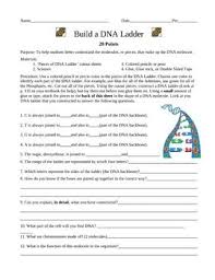 Build A Dna Ladder Worksheet Teaching Biology Persuasive Writing Prompts Worksheets