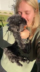 Not a cow but we'll take it!