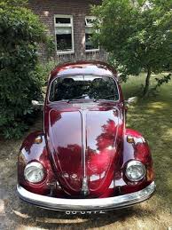 De ce să foloseşti brainly? Dezmembrari Volkswagen Arges Dezmembrari Volkswagen Arges Dezmembrari Pallady Este Cel Mai Mare Parc Beetle Descapotable Volkswagen Escarabajo Coche Escarabajo