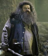 Rubeus Hagrid Harry Potter Wiki Harry Potter Harry Potter Films