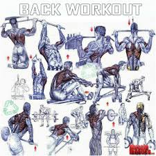 Back Workout Gym Workouts Good Back Workouts Fitness