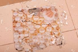 Maybe you would like to learn more about one of these? Broken Bathroom Scales Toughened Glass Crumbled Into Pieces From A Blow Stock Photo Picture And Royalty Free Image Image 122909070