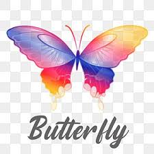  Butterfly Gradiasi Kuning Biru Merah Butterfly Png Kupu Kupu Png Kupu Kupu Cantik Png Transparent Clipart Image And Psd File For Free Download Butterfly Illustration Butterflies Vector Butterfly Background